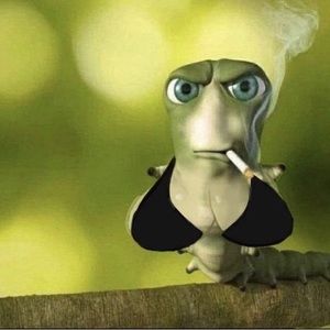 Meet your Posher, No